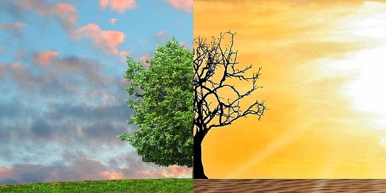 Menyesuaikan Rutinitas di Tengah Perubahan Alam